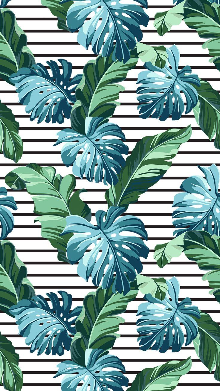 736x1308 iPhone wallpaper tropical, Plant wallpaper, Phone wallpaper