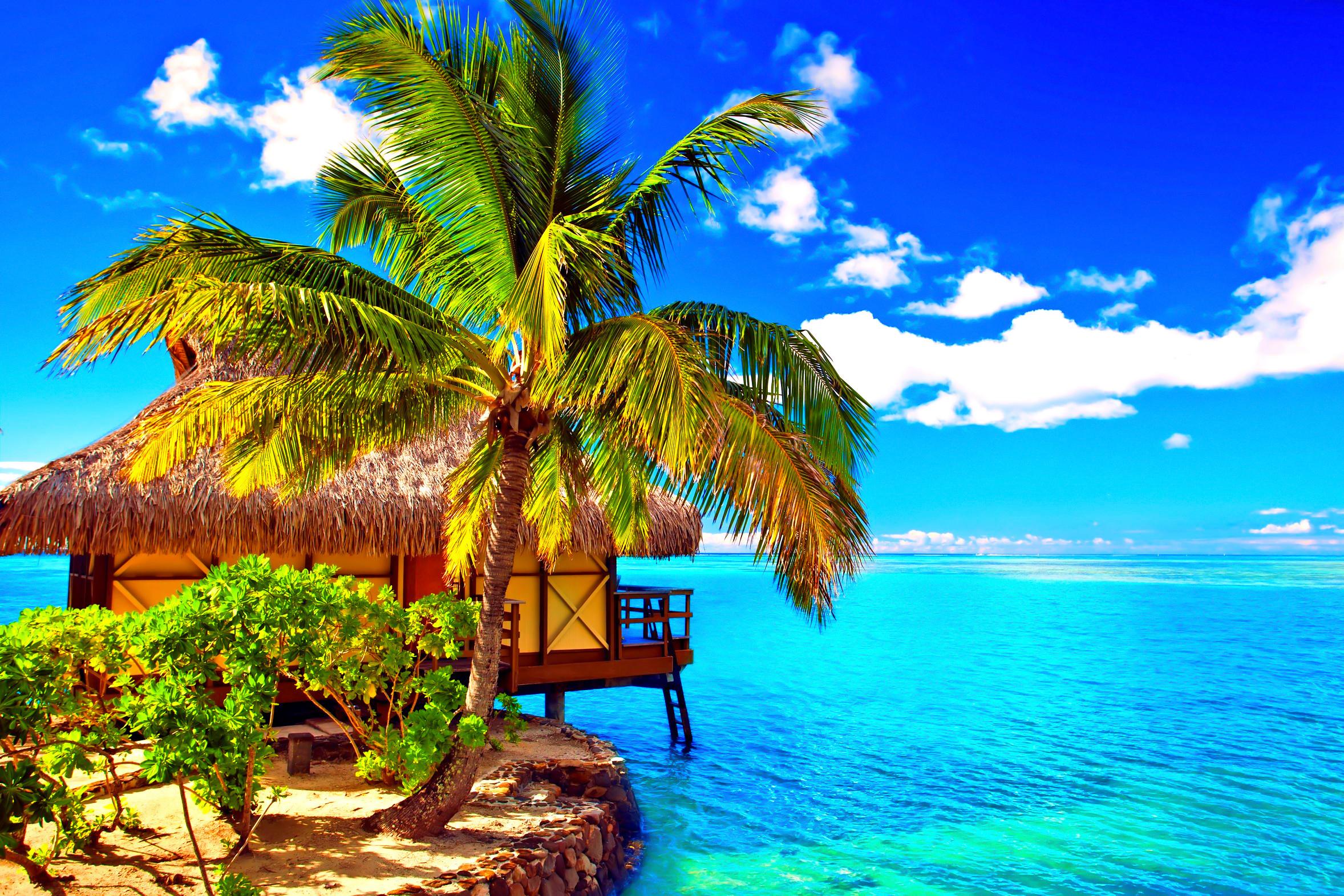 2356x1571 Tropical Beach Bungalow