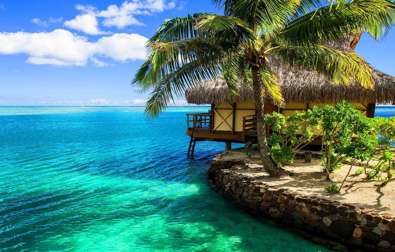 1332x850 Wallpaper tropics, Palma, the ocean, exotic, beach, Bungalow, bungalow resort image for desktop, section пейзажи