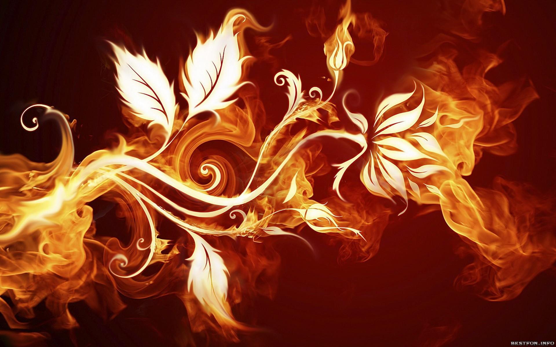 1920x1200 Abstract Flower wallpaper. Abstract Flower