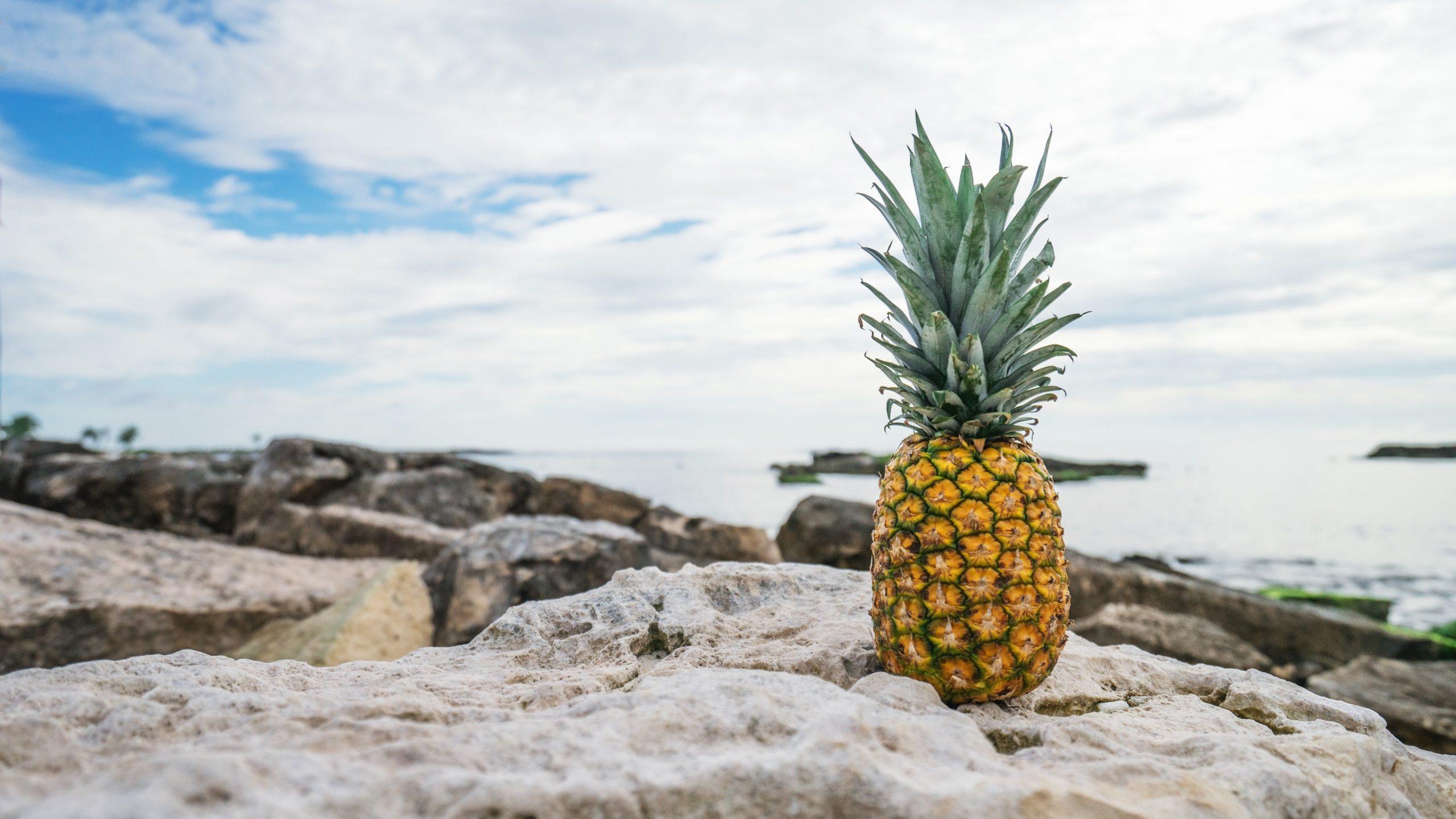 2560x1440 pineapple wallpaper