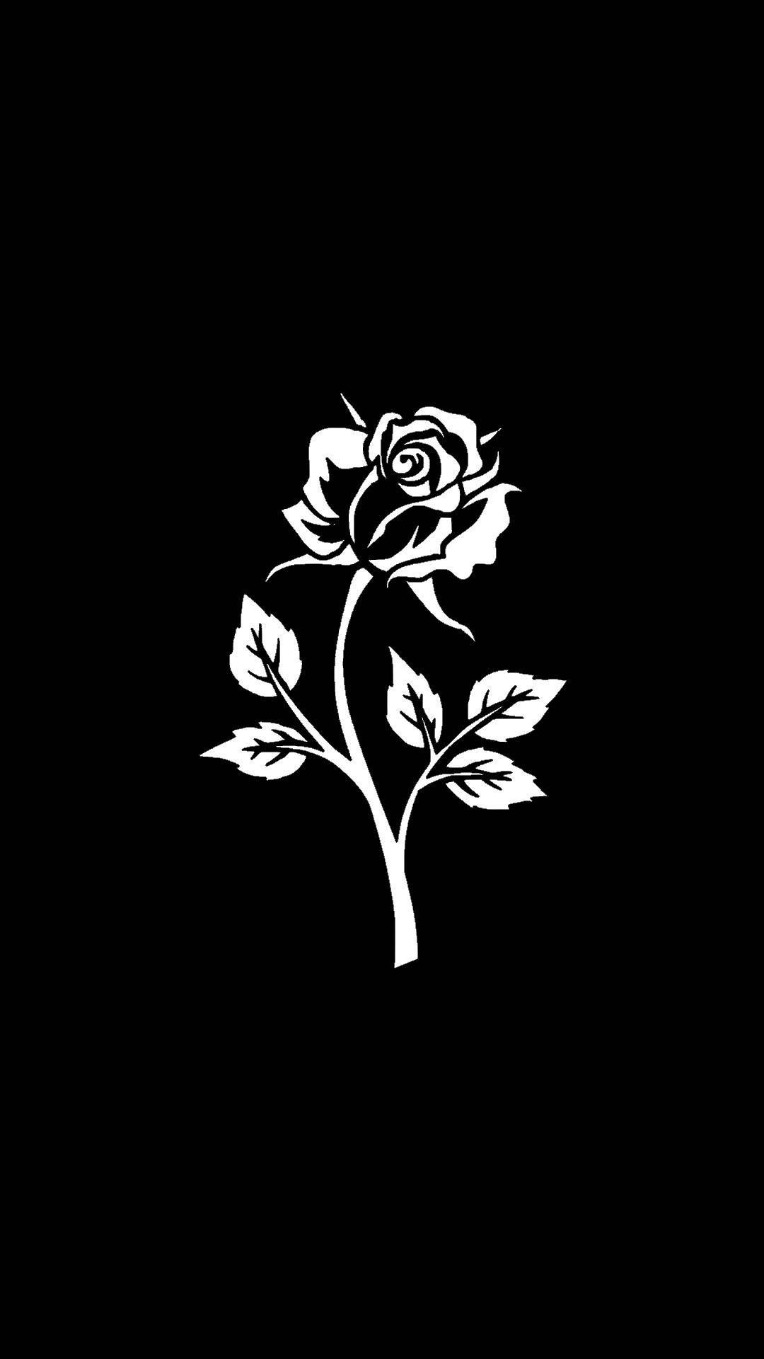 Black and White Roses iPhone Wallpapers - Top Free Black and White ...