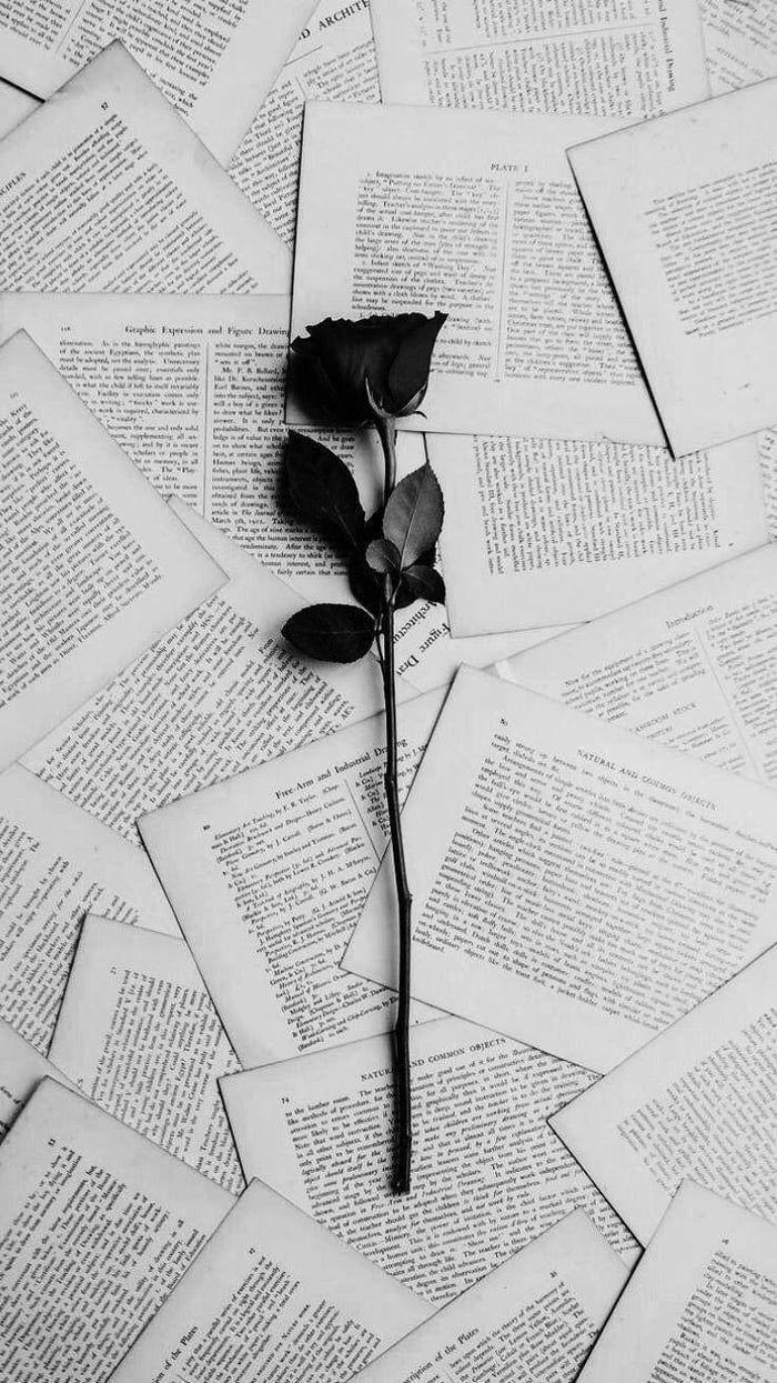 700x1245 Aesthetic Wallpaper White Rose