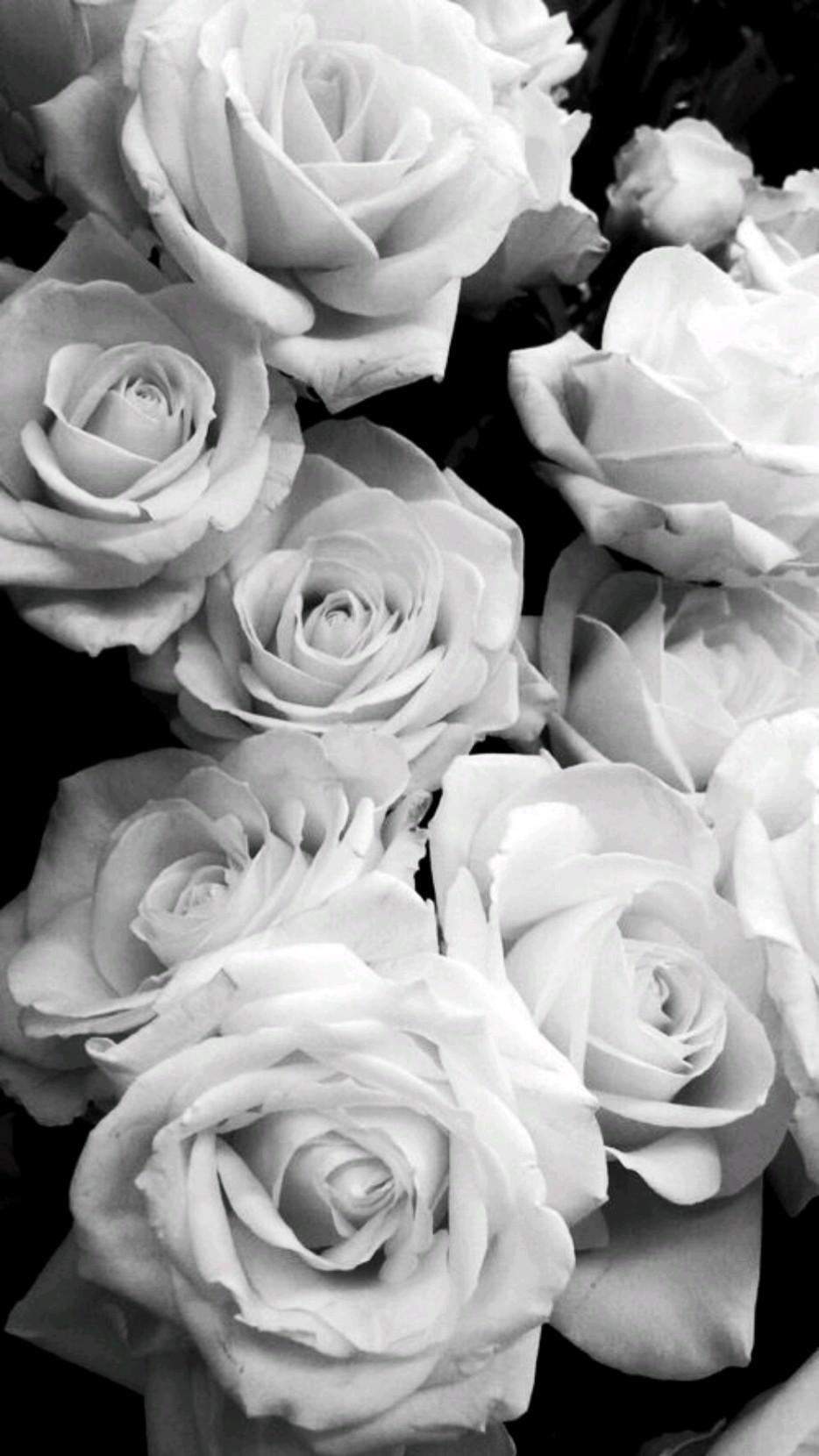 934x1660 Black Roses Wallpaper Best. Flower Phone Wallpaper