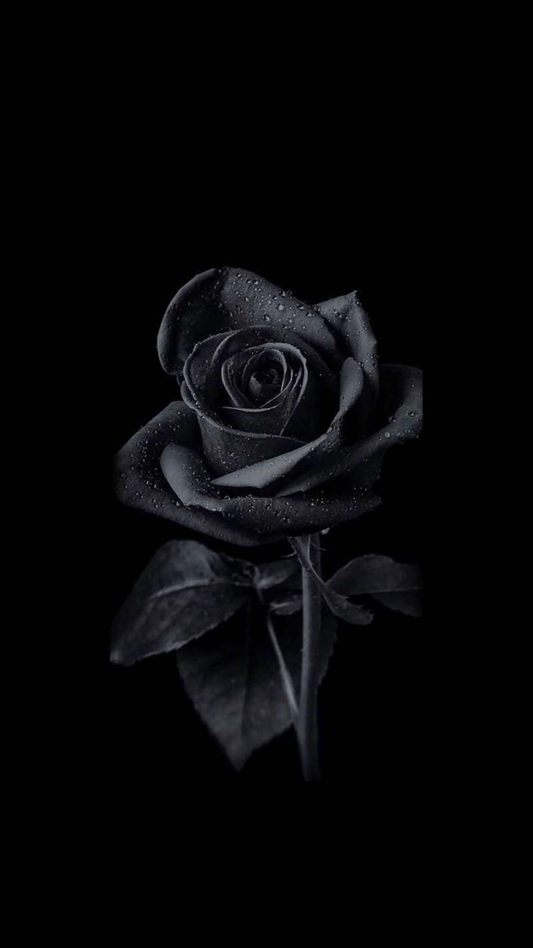 1080x1920 Black iPhone Wallpaper Top Free Download Black iPhone Wallpaper