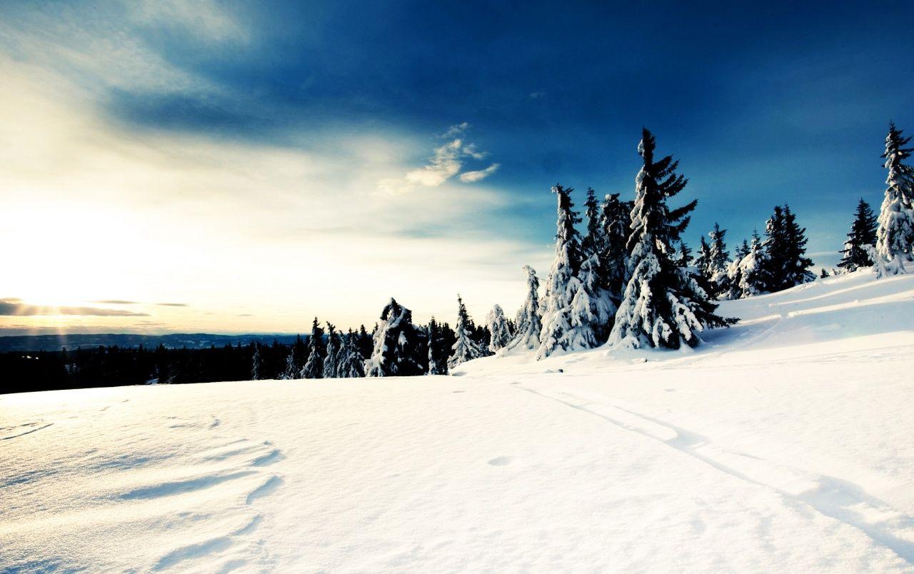 1280x804 Winter Sunshine Wallpaper