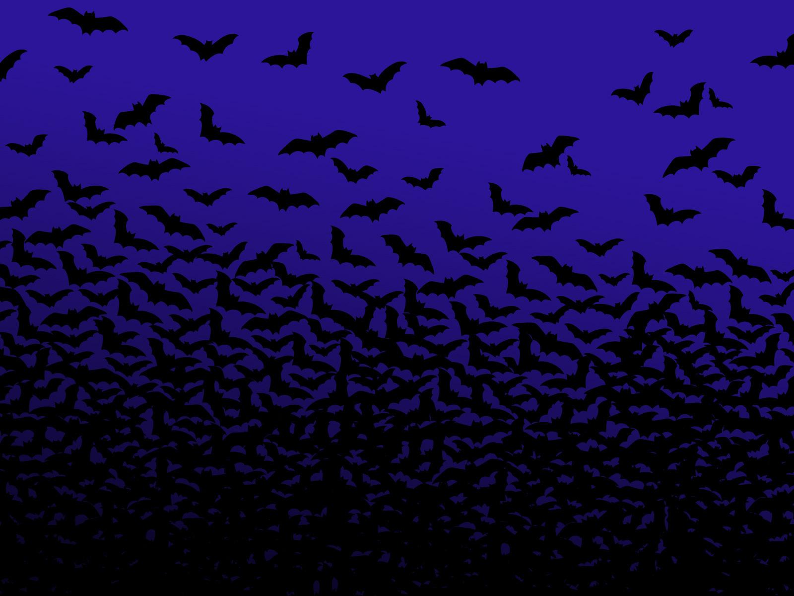 flying bats wallpaper