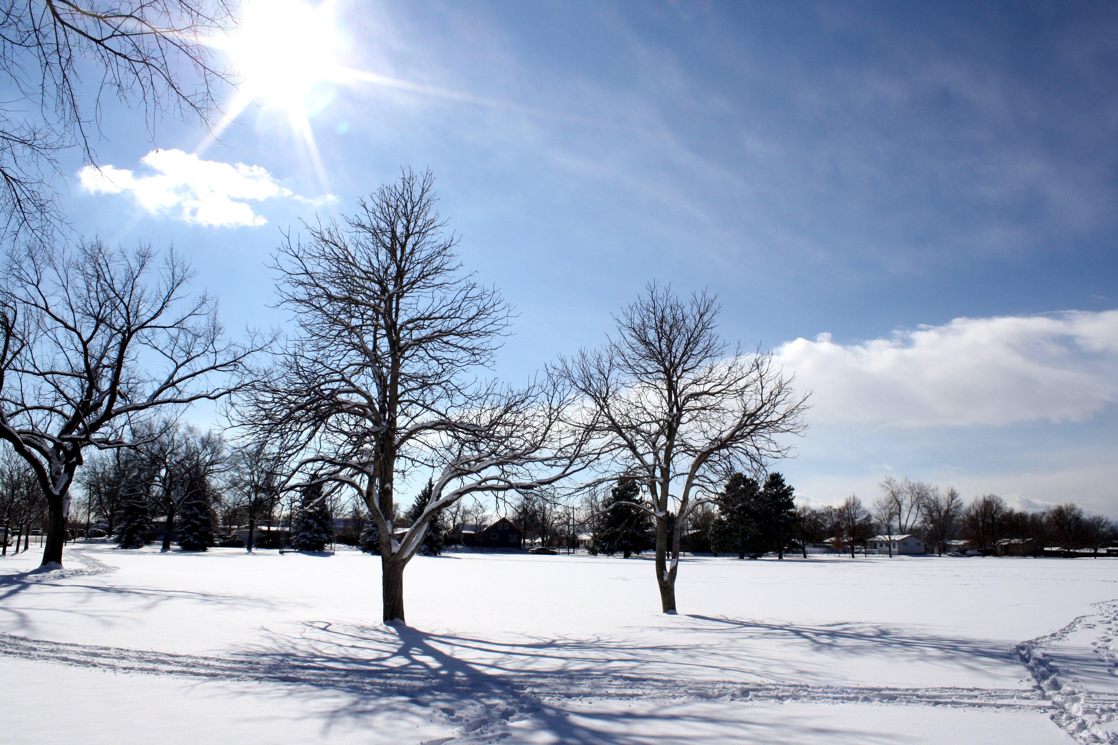3888x2592 Sunny Winter Day Picture. Free Photograph. Photo Public Domain