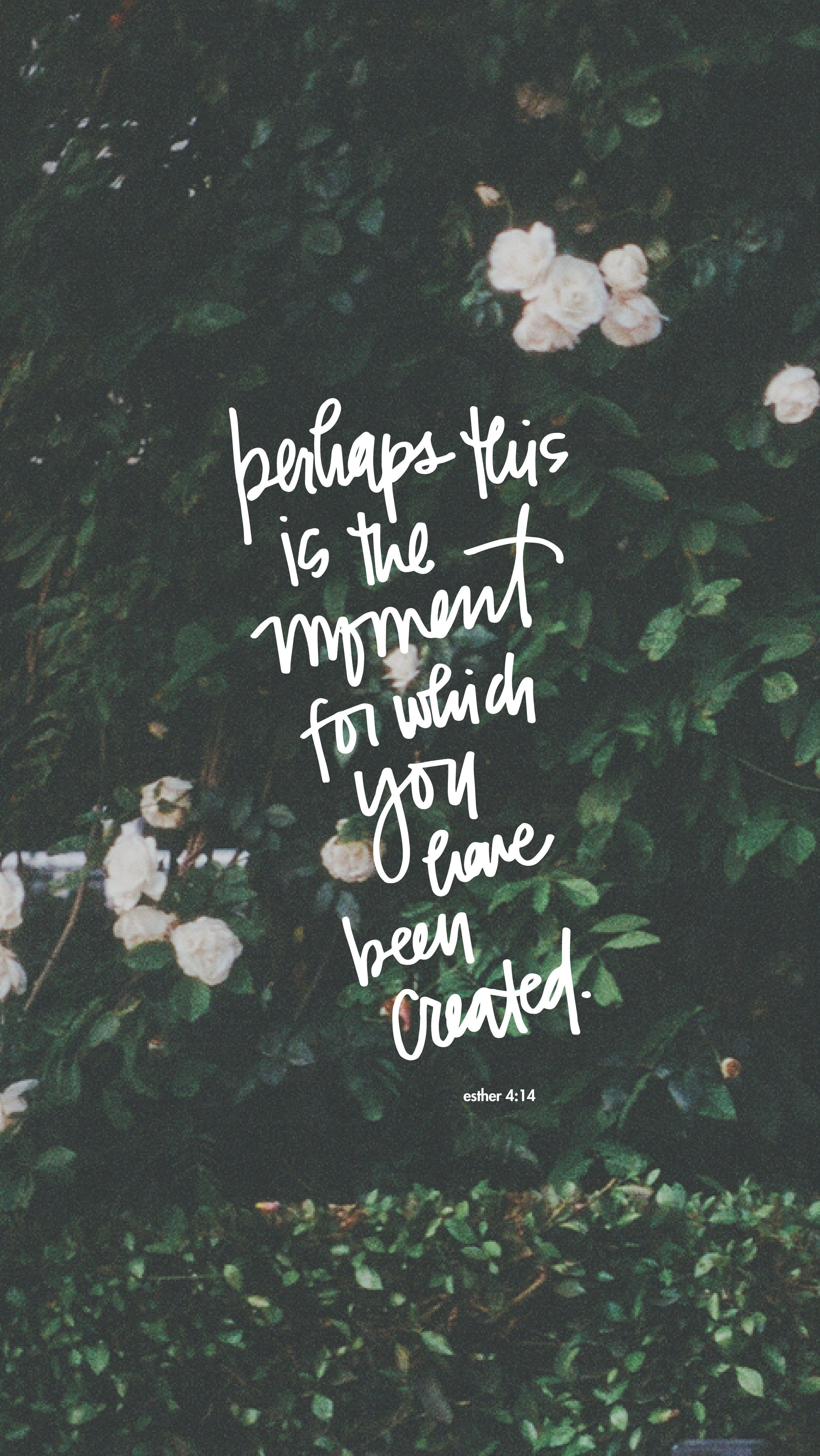 2667x4733 Bible Verse Cell Phone Wallpaper, HD Bible Verse Cell Phone Background