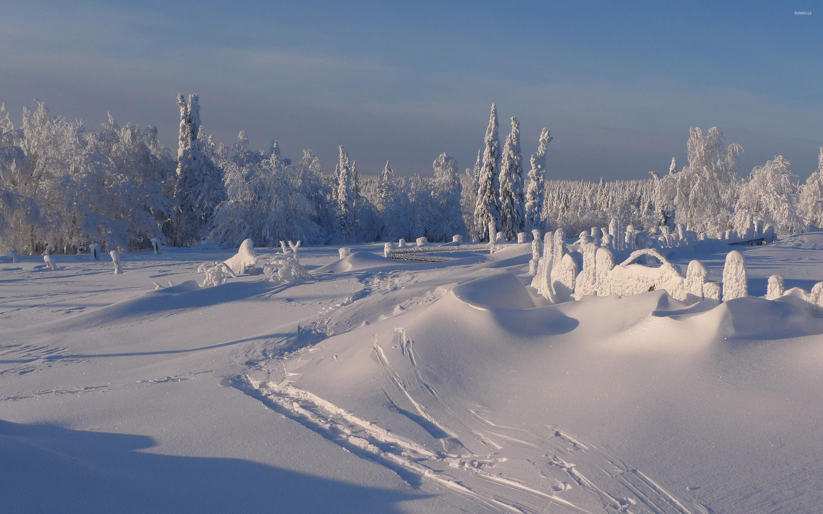 2880x1800 Winter sunny day wallpaper wallpaper