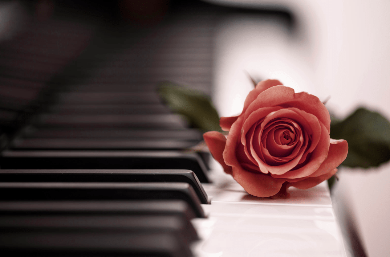 Piano and Flowers Wallpapers - Top Free Piano and Flowers Backgrounds -  WallpaperAccess