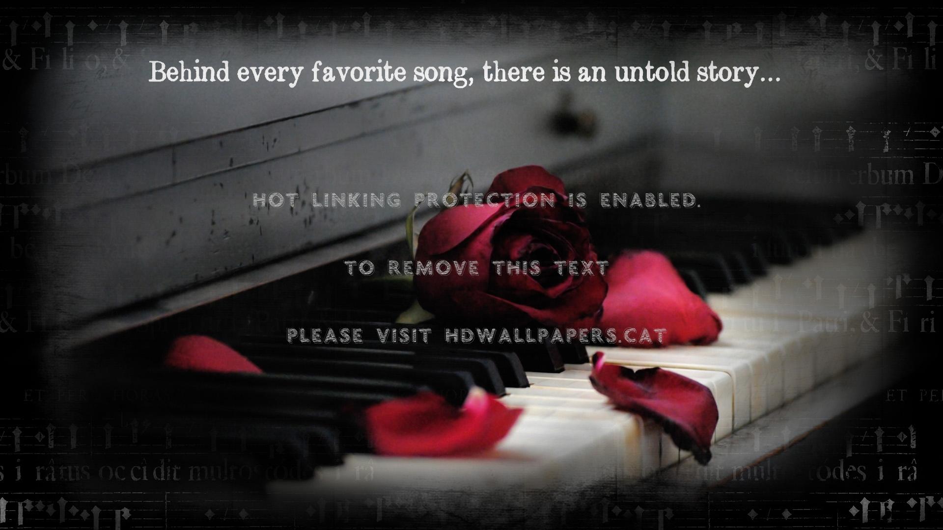 1920x1080 music. rose red piano flower quote