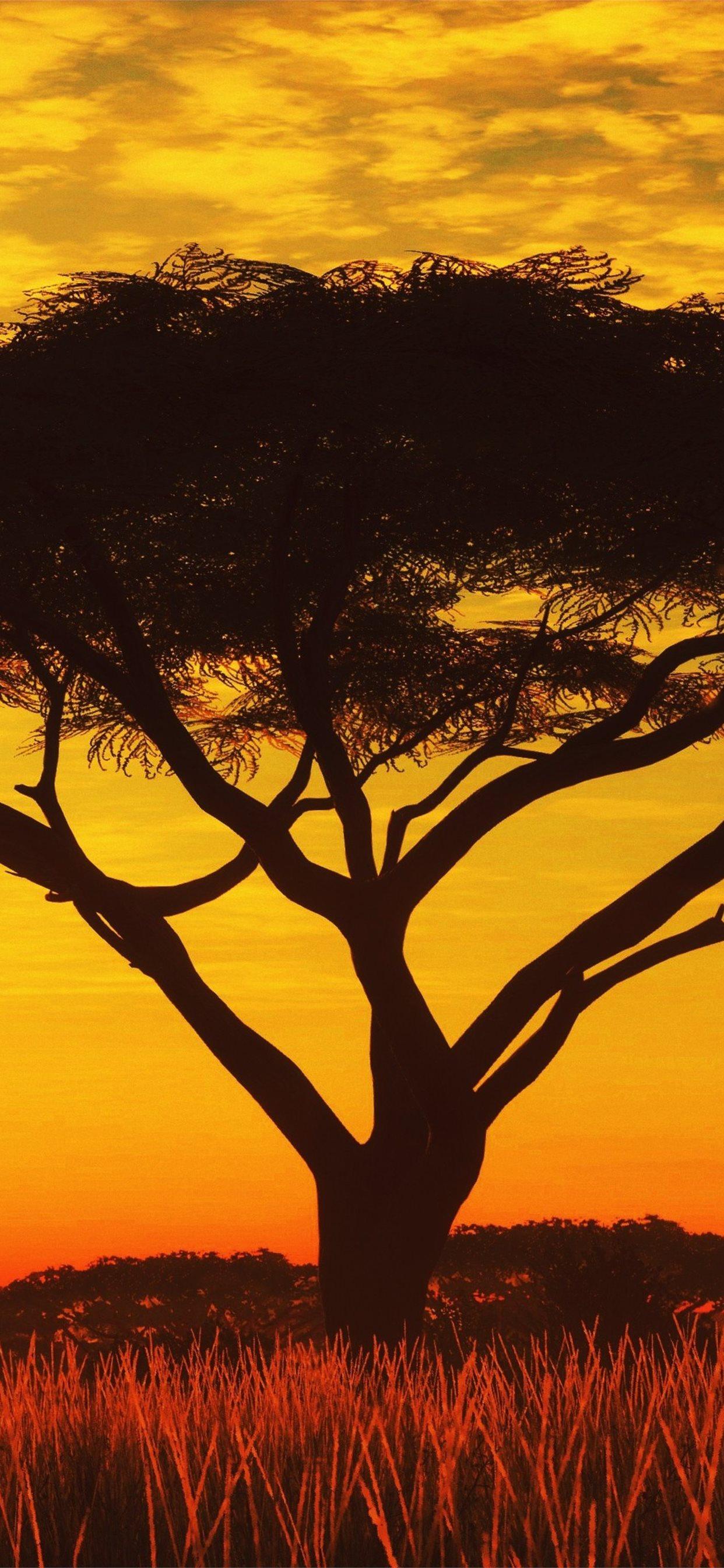 1242x2688 Serengeti Sunset 4k Samsung Galaxy Note 9 8 S9 S8. iPhone X Wallpaper Free Download