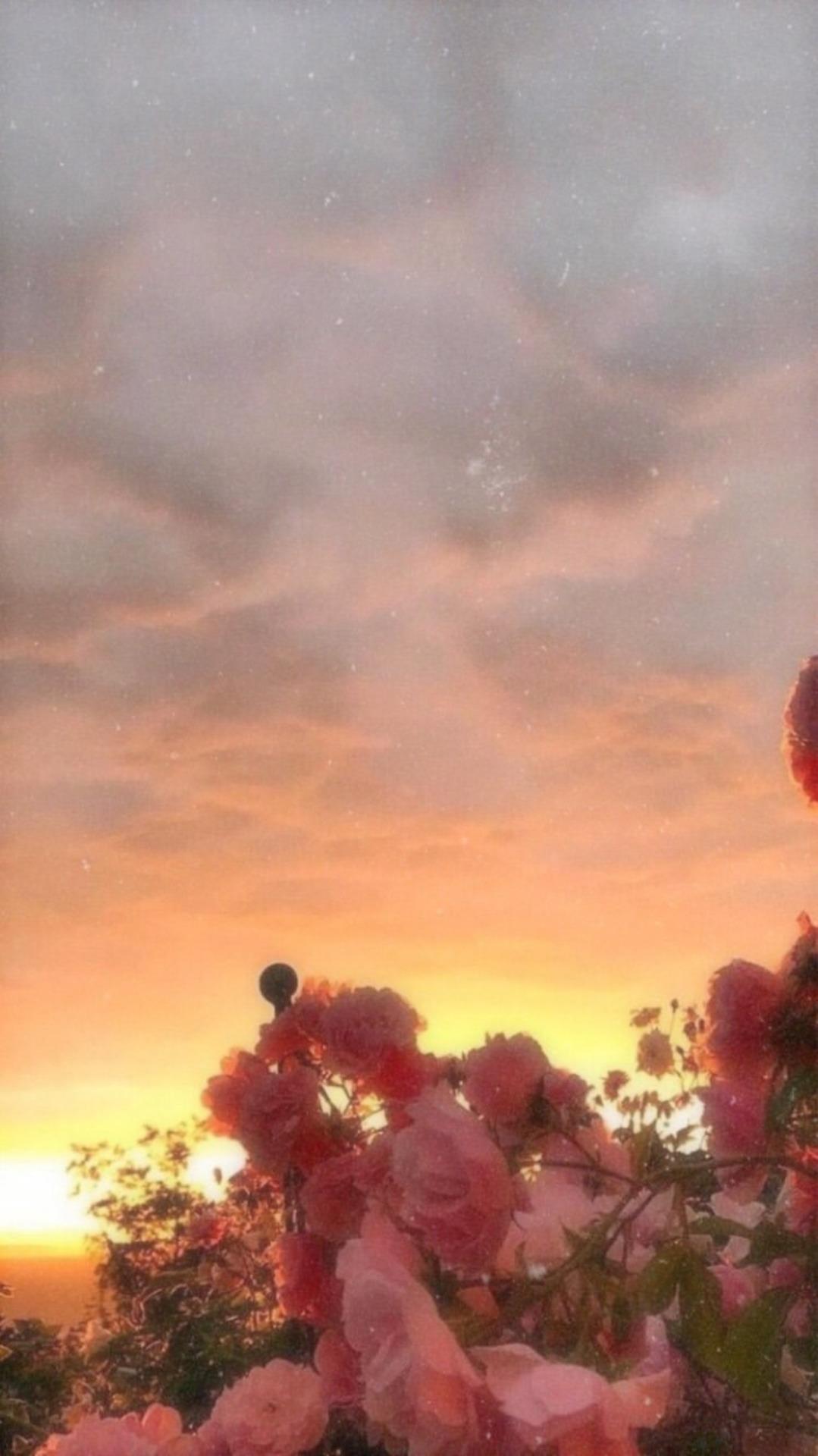 1079x1920 wallpaper