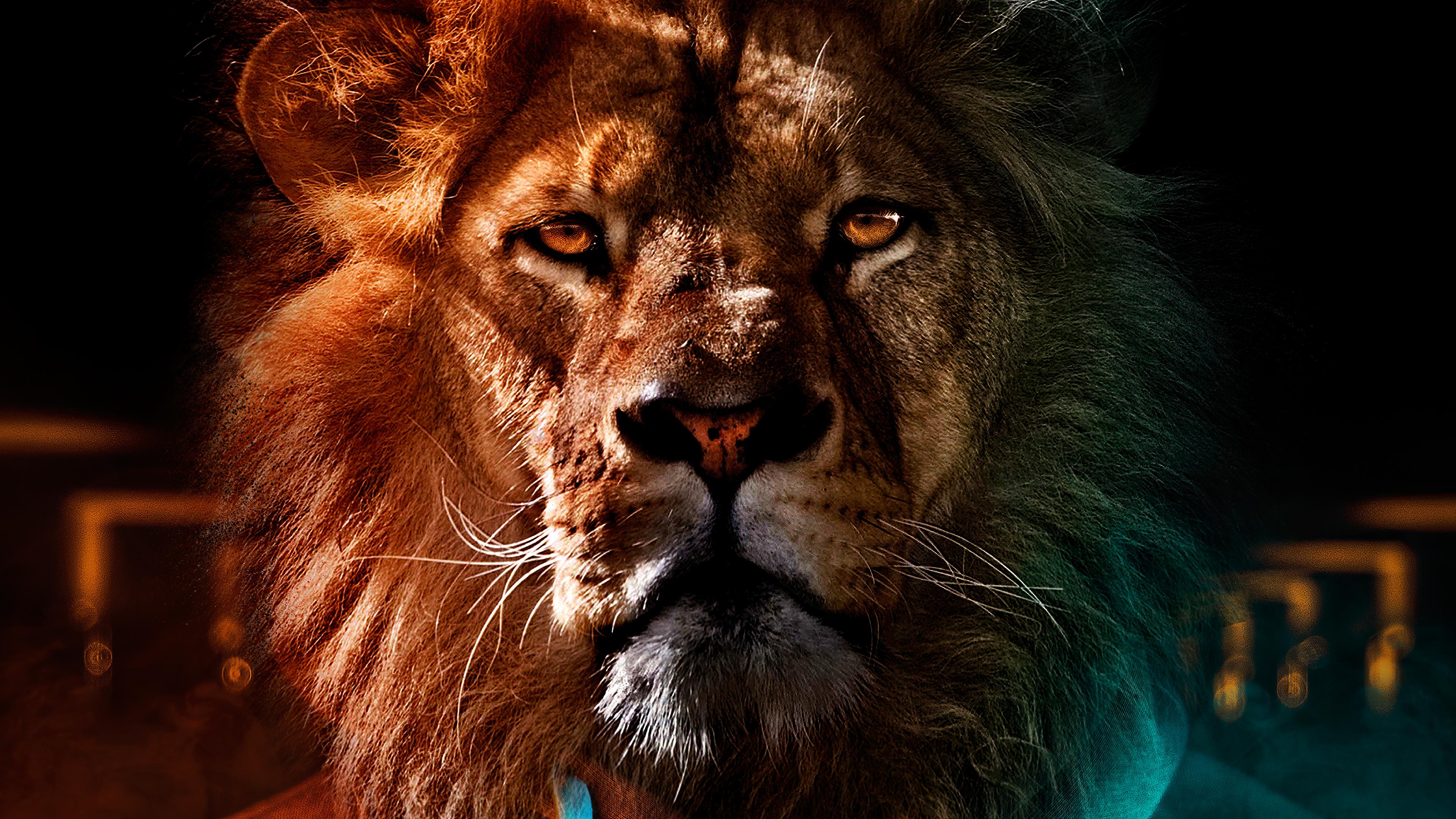 3840x2160 Tiger Face Man 4k, HD Artist, 4k Wallpaper, Image, Background, Photo and Picture