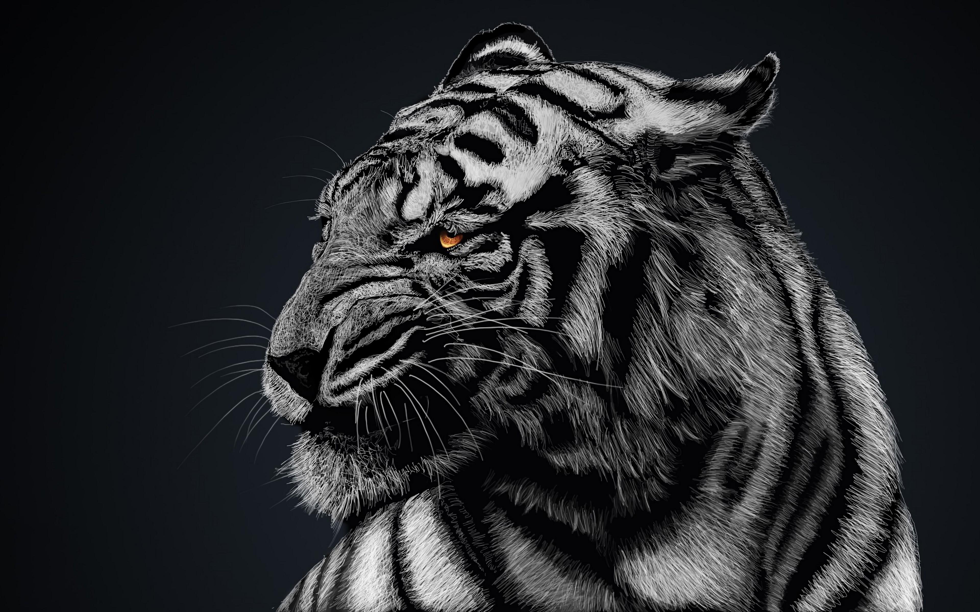 3840x2400 White Tiger 4K Wallpaper