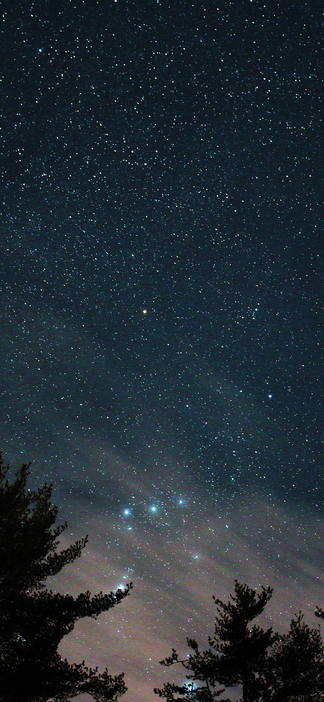 1125x2436 Night Sky Star Wood Space Starry Blue Dark Wallpaper