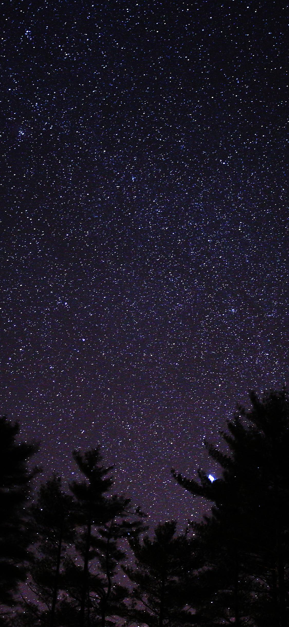 1125x2436 Night Sky Star Space Starry Wood Dark Blue Wallpaper
