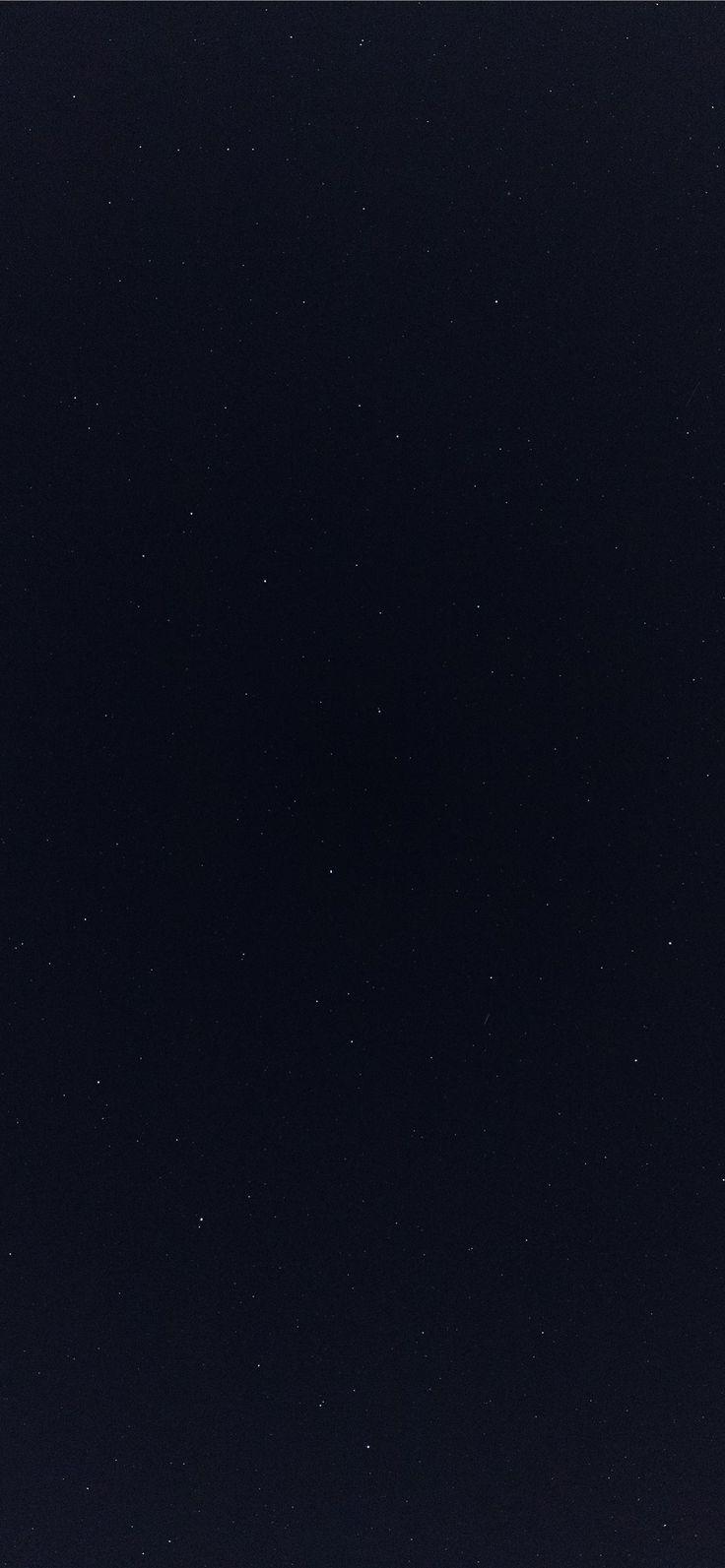 736x1593 картинки