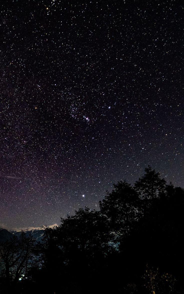 736x1177 Wallpaper stars shine trees starry sky starry night night. Night sky wallpaper, Night sky stars, Night sky photography