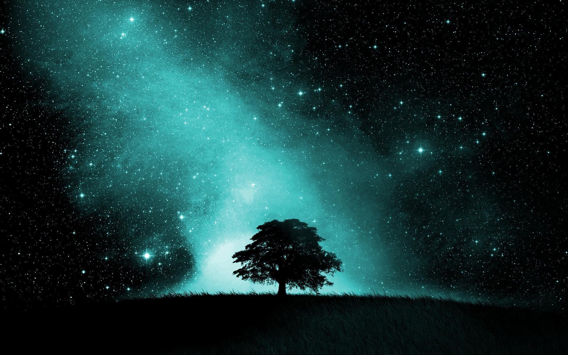 1920x1200 Starry Night Sky