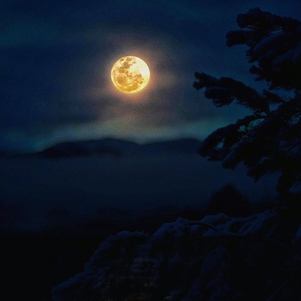 1000x1000 Moon Art Picture. Download Free Image