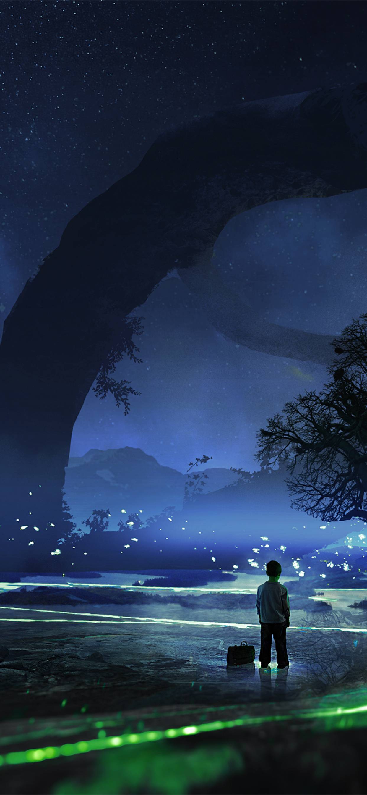 1242x2688 Fireflies iPhone XS MAX Wallpaper, HD Artist 4K Wallpaper, Image, Photo and Background