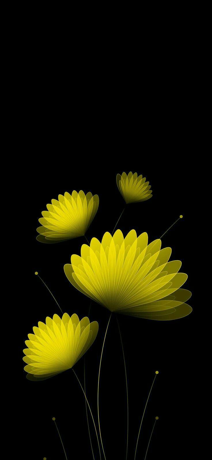 736x1593 BlackBerry. Black flowers wallpaper, Background phone wallpaper, Cellphone wallpaper background
