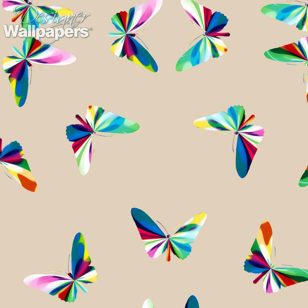 1000x1000 Colour Form Butterfly Kaleidoscope Day Delivery. Designer Wallpaper ™