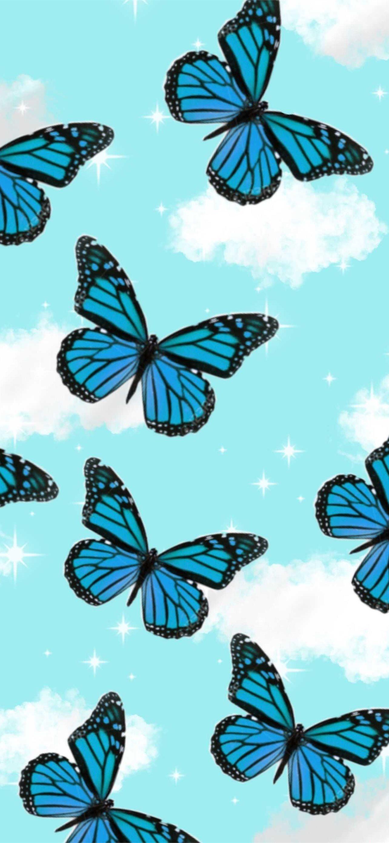 1284x2778 butterfly iPhone Wallpaper Free Download