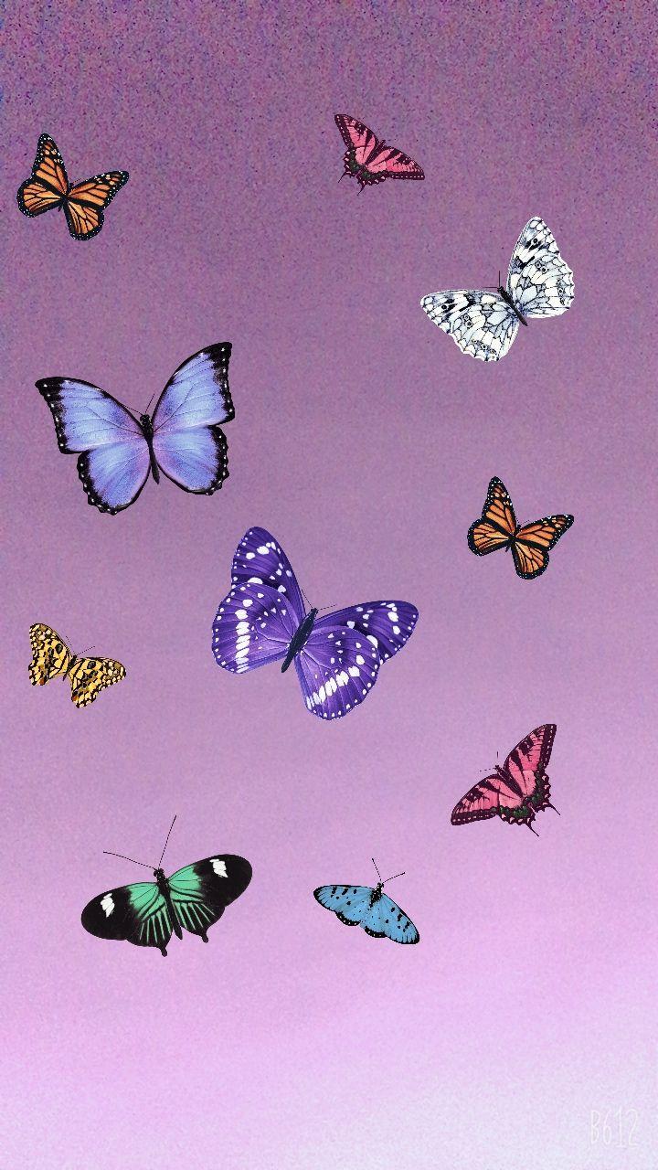 720x1280 Image Via We Heart It #background #butterfly #pattern #wallpaper #wallpaperipho. Purple butterfly wallpaper, Butterfly wallpaper, Butterfly wallpaper background