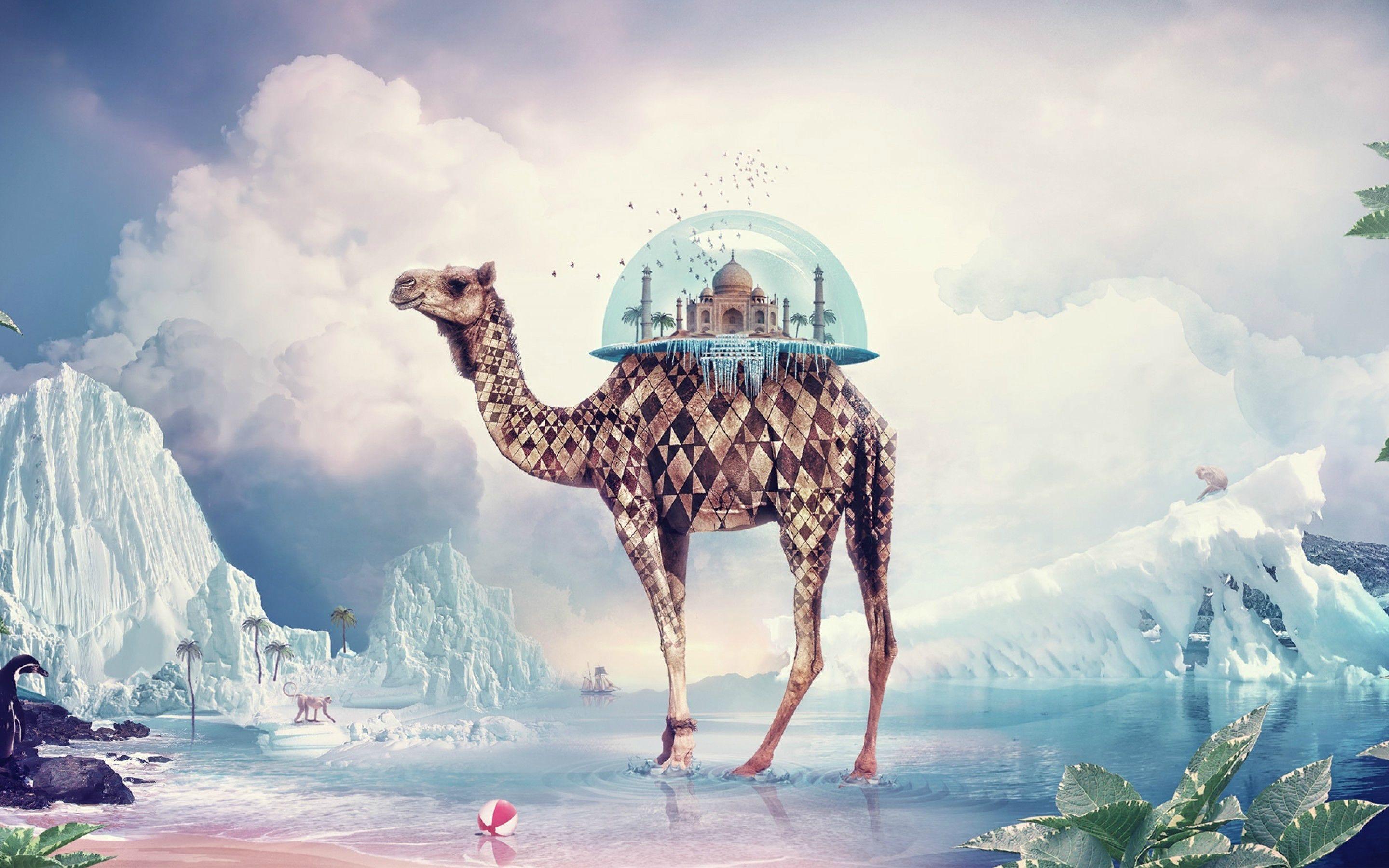 2880x1800 Free download By request absurd wallpaper continued Album on Imgur [2880x1800] for your Desktop, Mobile & Tablet. Explore Absurd Wallpaper