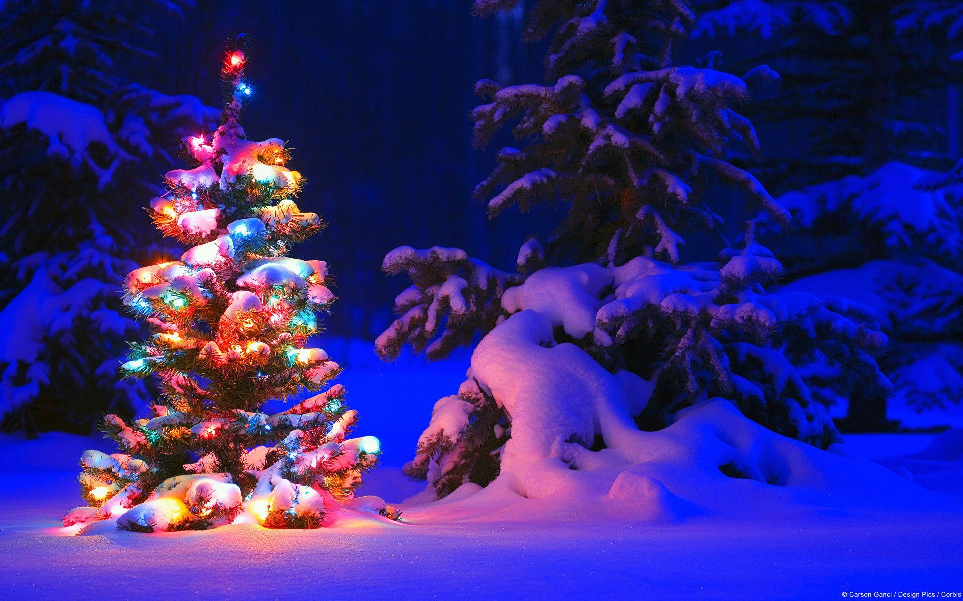 1920x1200 Desktop Background Christmas