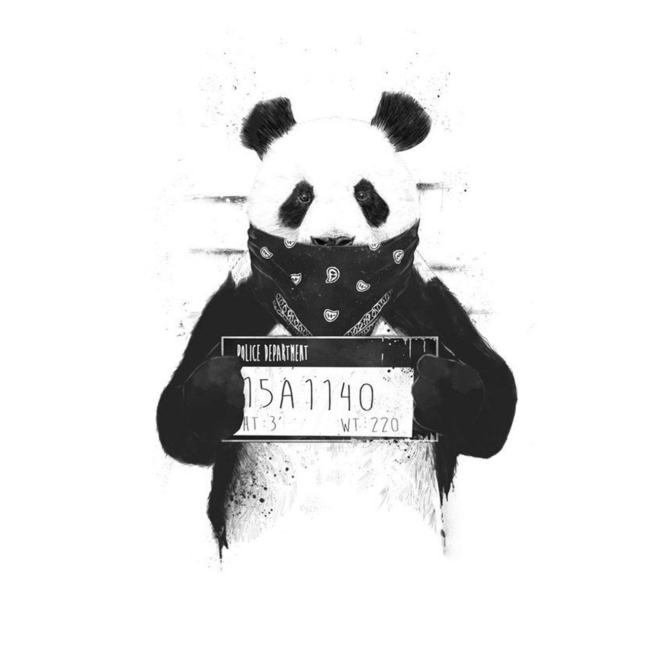 1280x1280 DJ Panda - #NewProfilePic