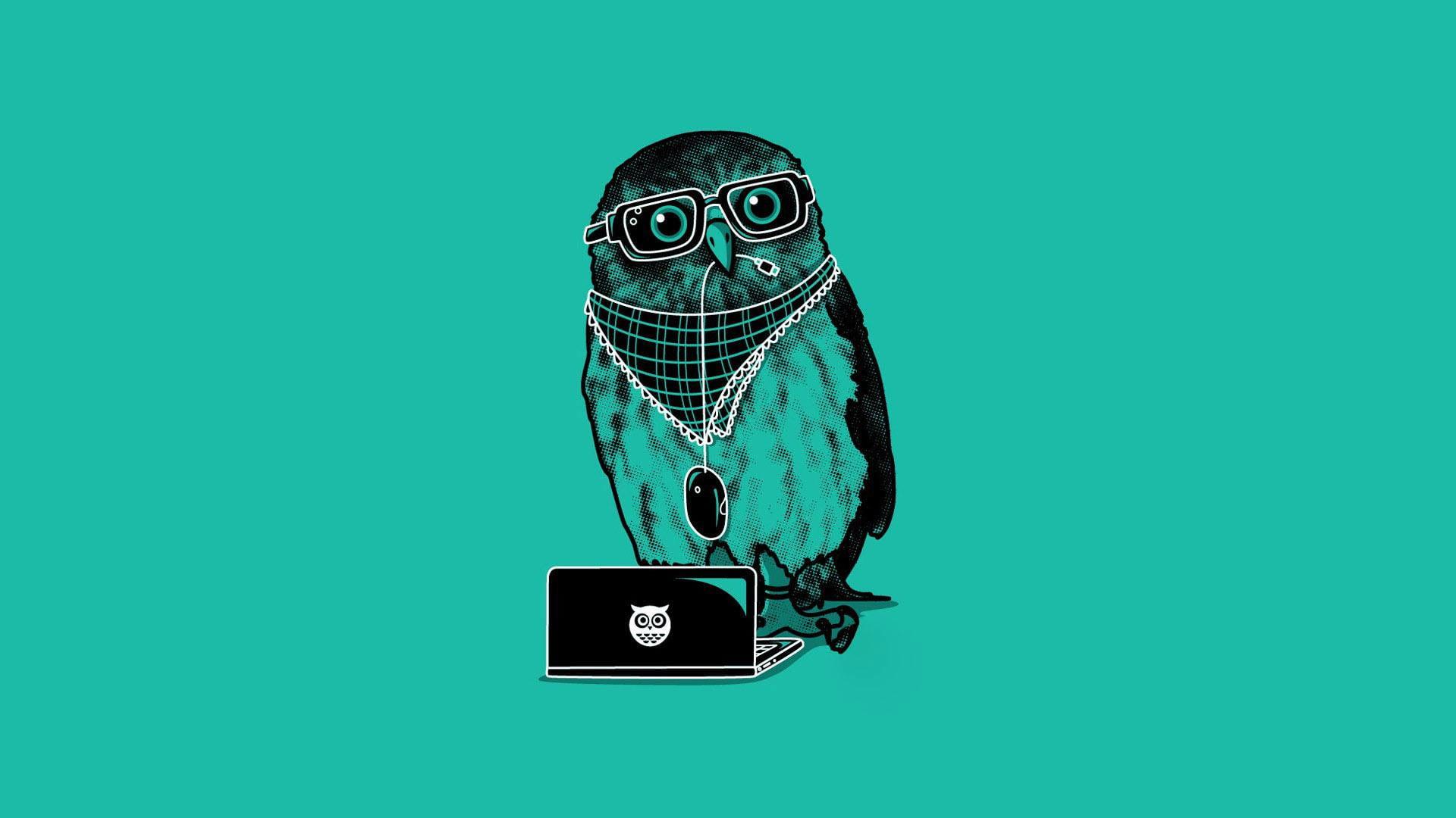 1920x1080 Wallpaper Dj Owl, Owl With Jewelries And Laptop • Wallpaper For You