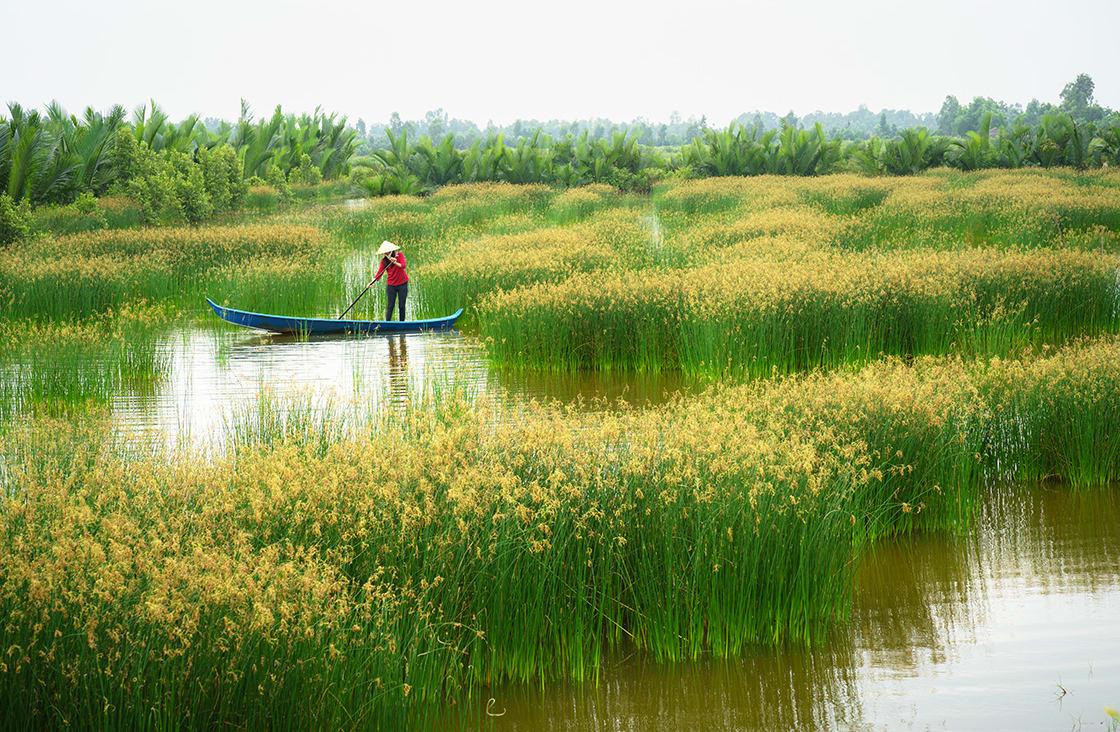 1120x732 Best Places To Visit In The Mekong Delta