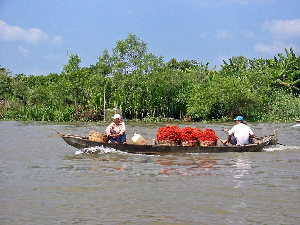 1024x768 Mekong Delta Vietnam