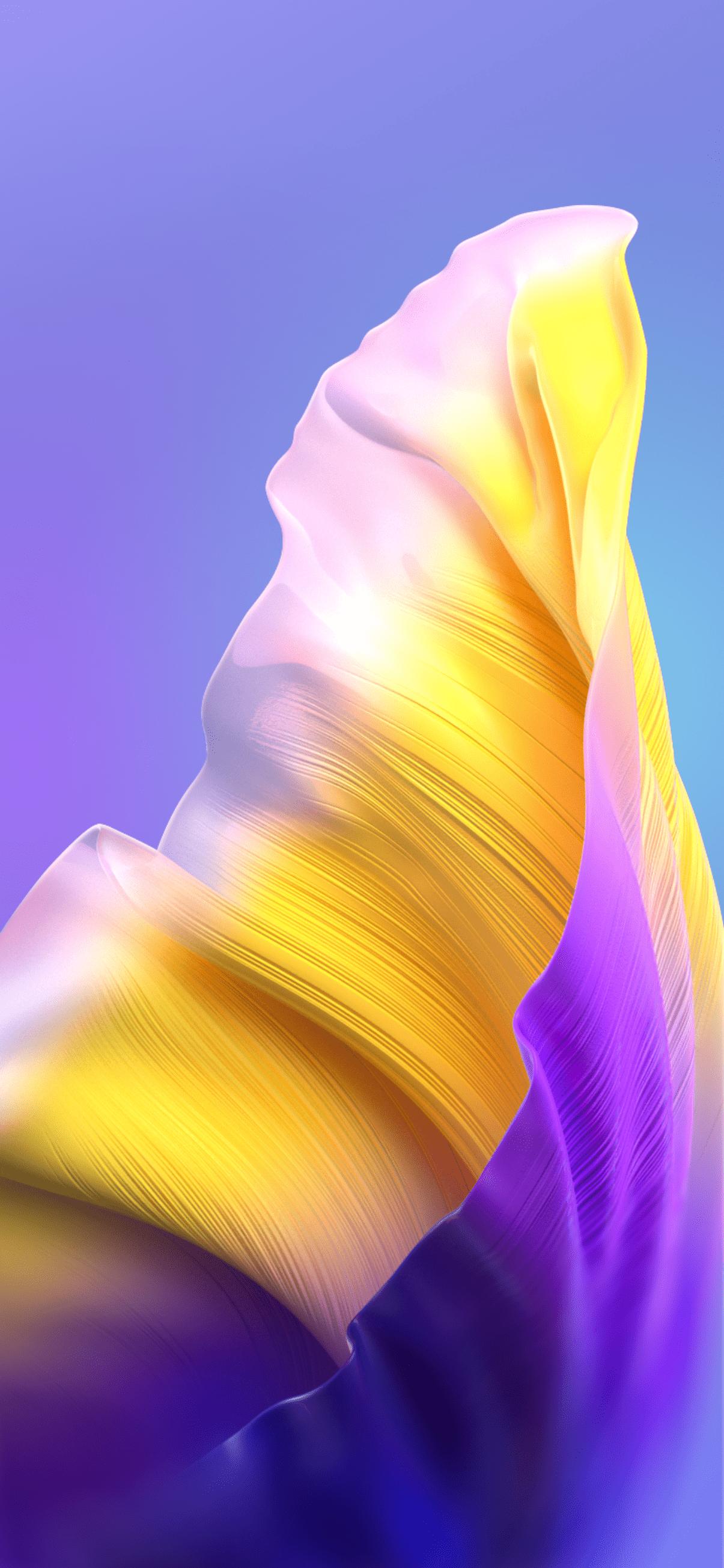 1205x2609 Wallpaper Flower, Tecno Camon Smartphone, Tecno Camon Android, Background Free Image
