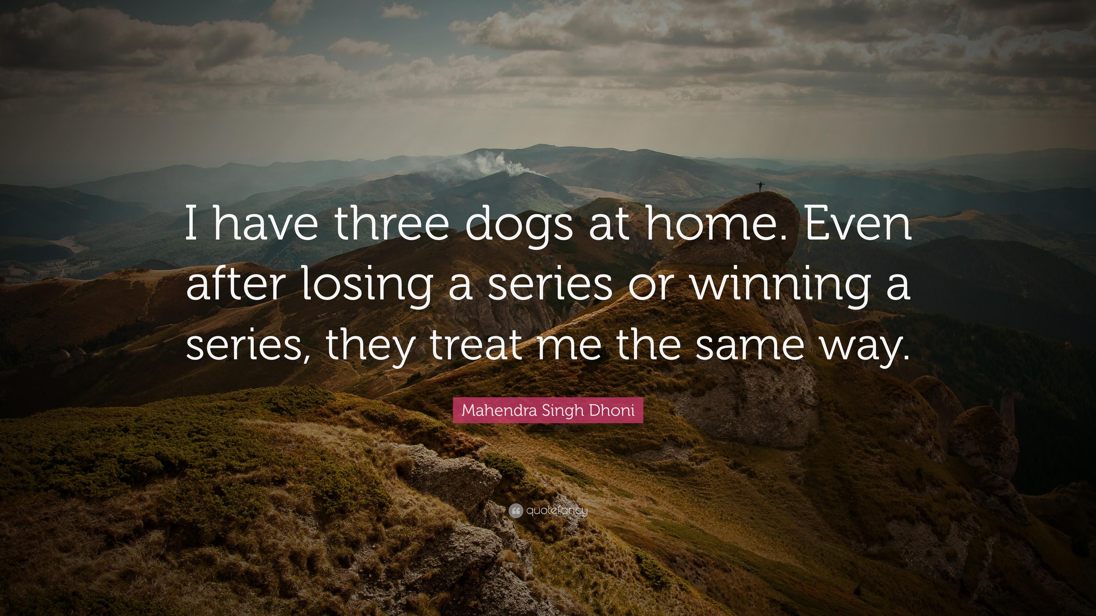 3840x2160 Mahendra Singh Dhoni Quote: “I have three dogs at home. Even after losing a series or