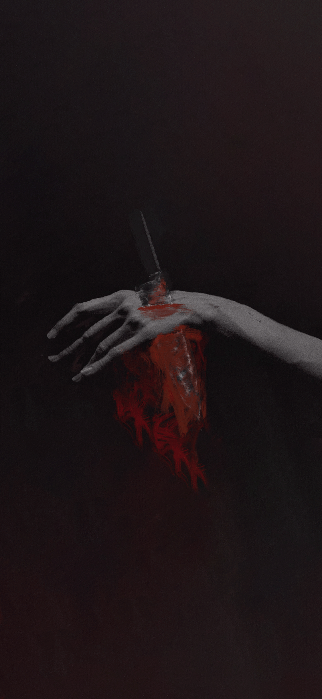 Knocked Loose Wallpapers Top Free Knocked Loose Backgrounds