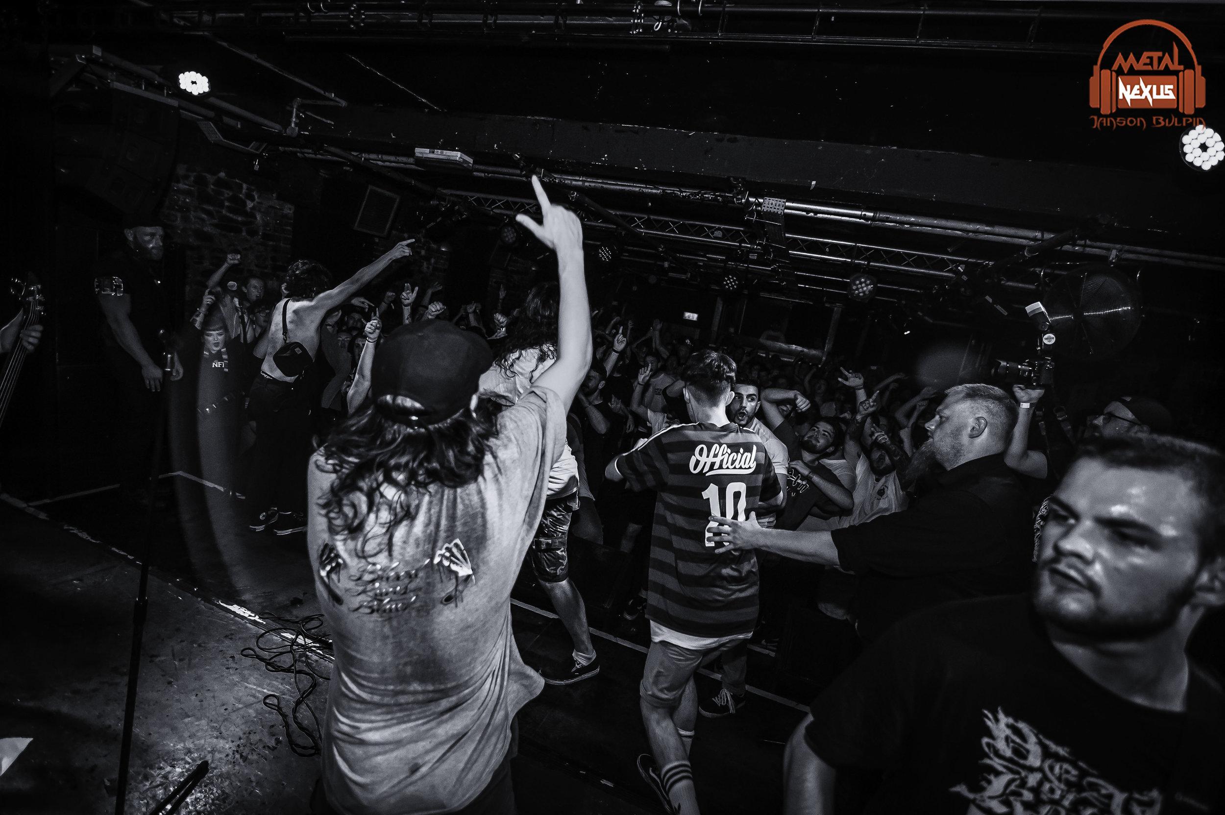 2500x1664 Knocked Loose