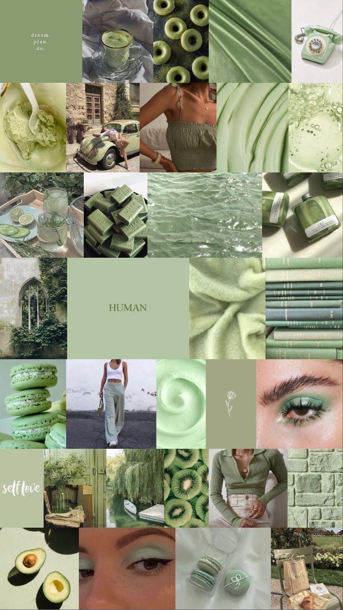 23 Sage Green Collage Wallpapers  WallpaperSafari