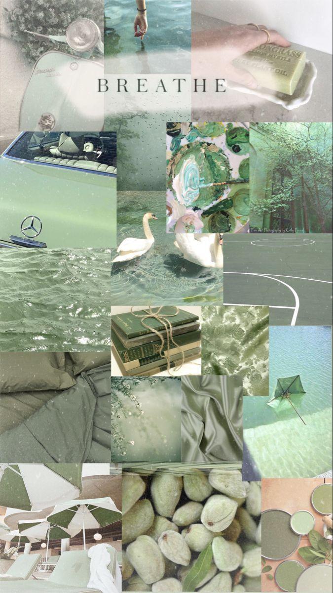 60 DIGITAL Sage Green Aesthetic Collage Sage Green Photo -  UK