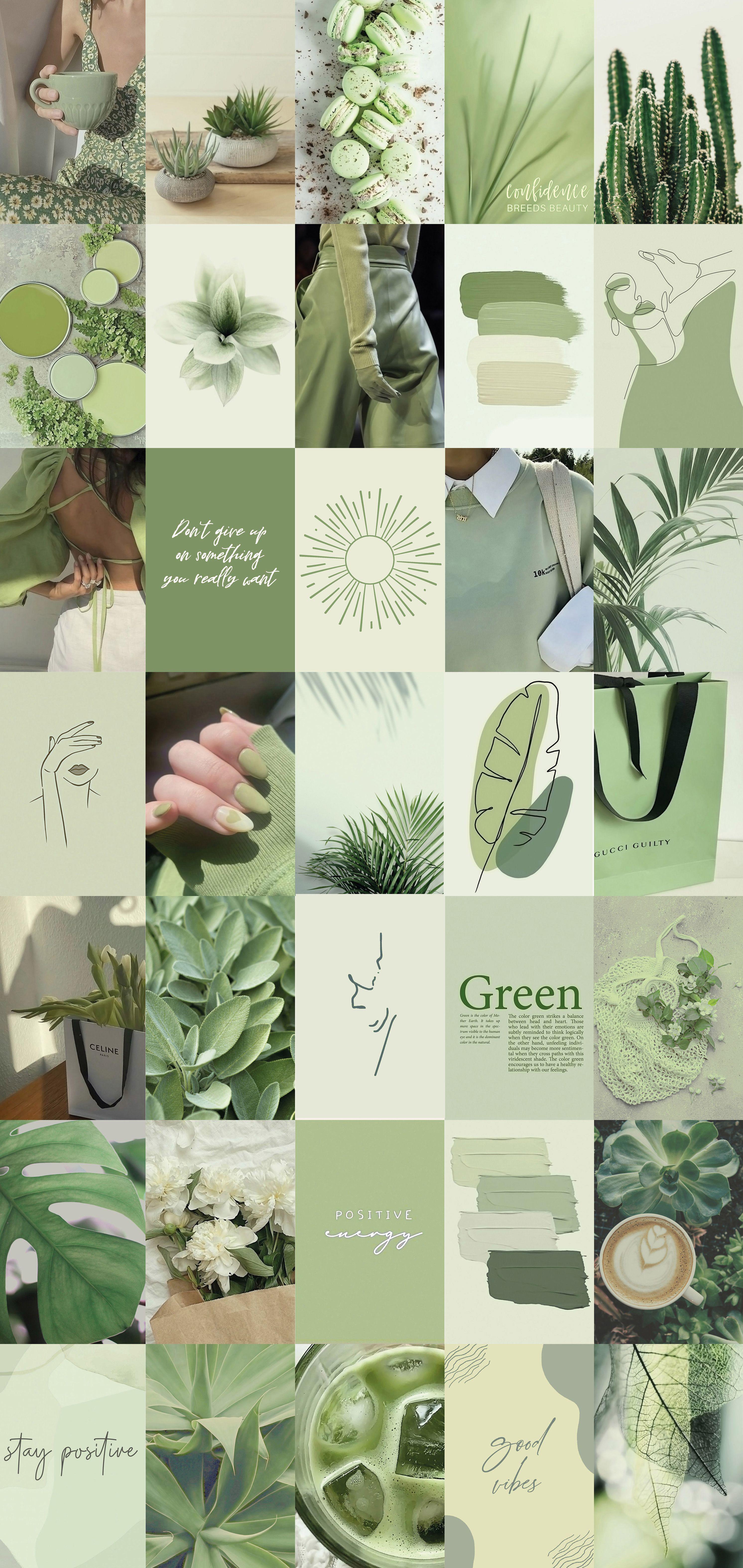Sage Green Collage Wallpapers - Top Free Sage Green Collage Backgrounds ...
