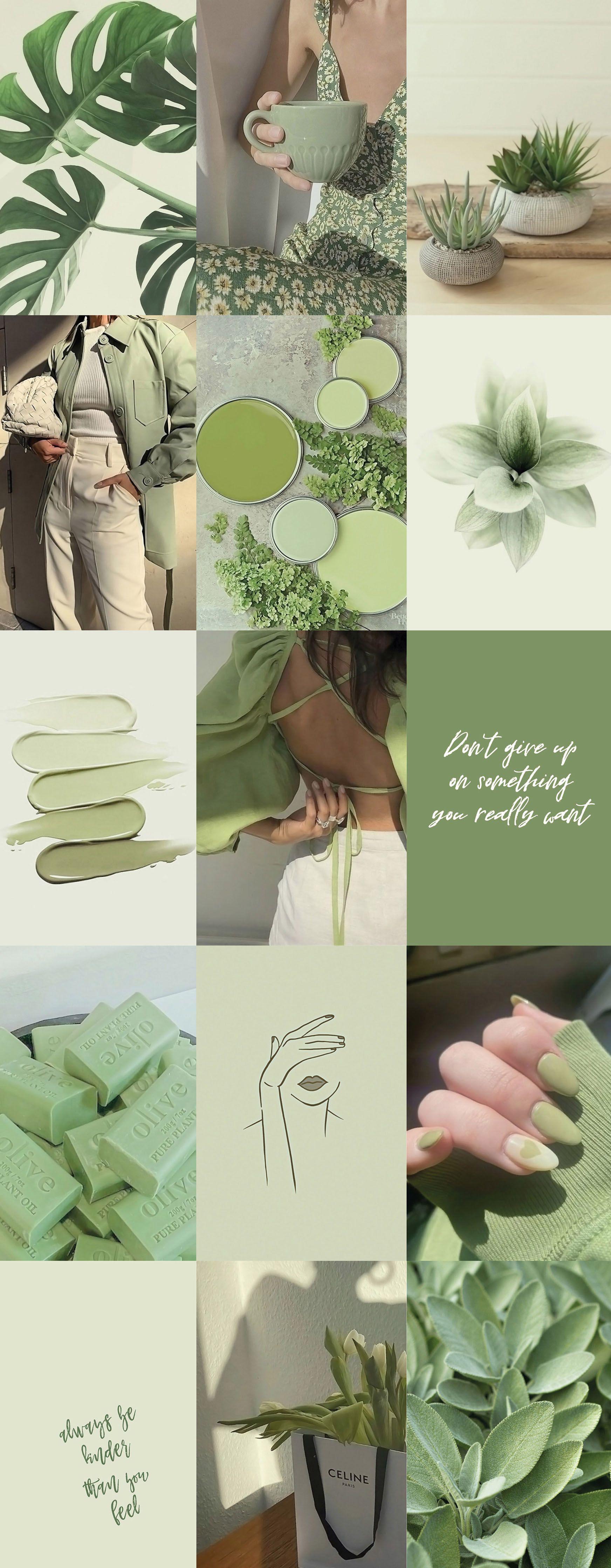 Sage Green Collage Wallpapers - Top Free Sage Green Collage Backgrounds ...