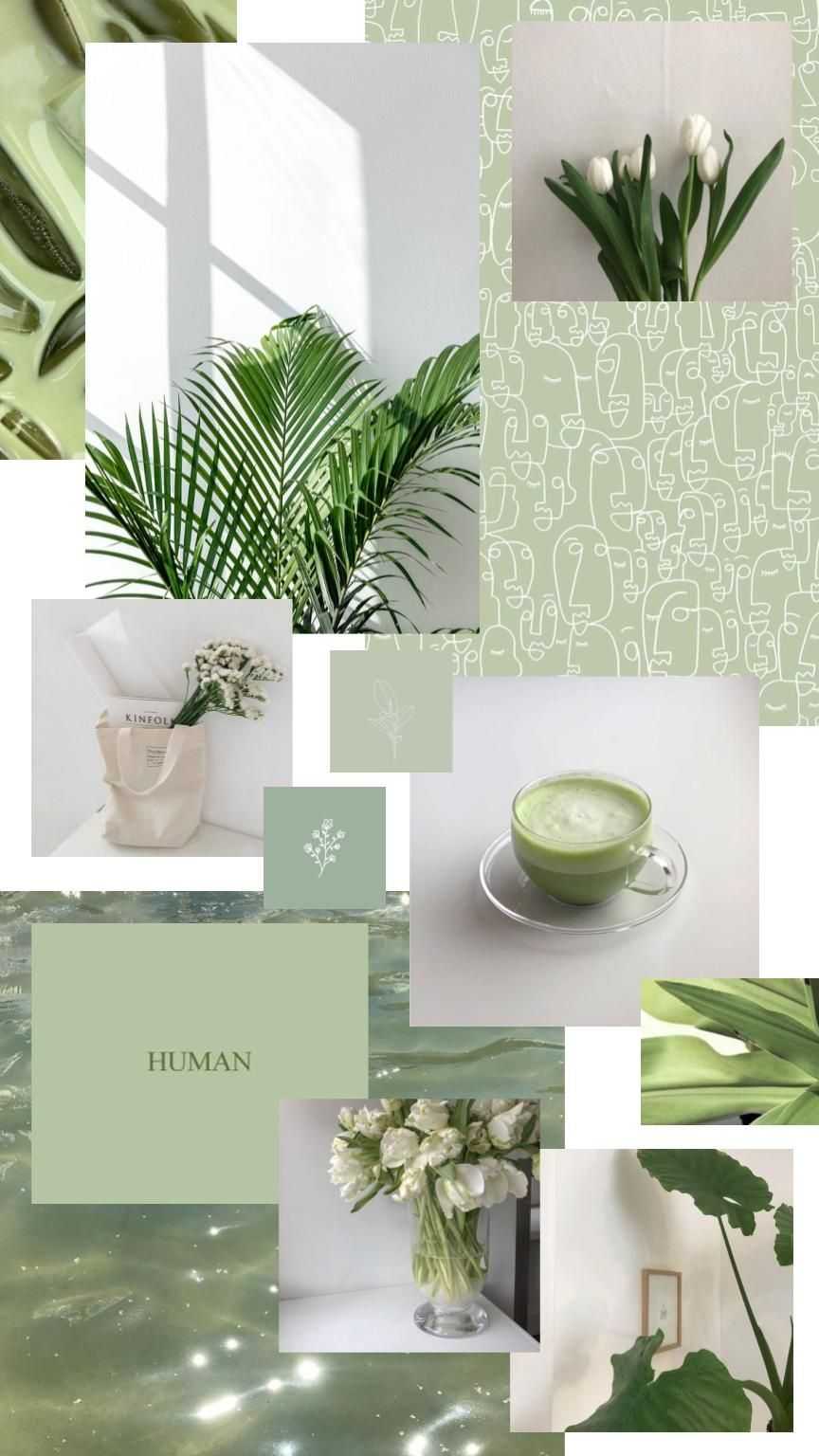 864x1536 Sage Green Wallpaper