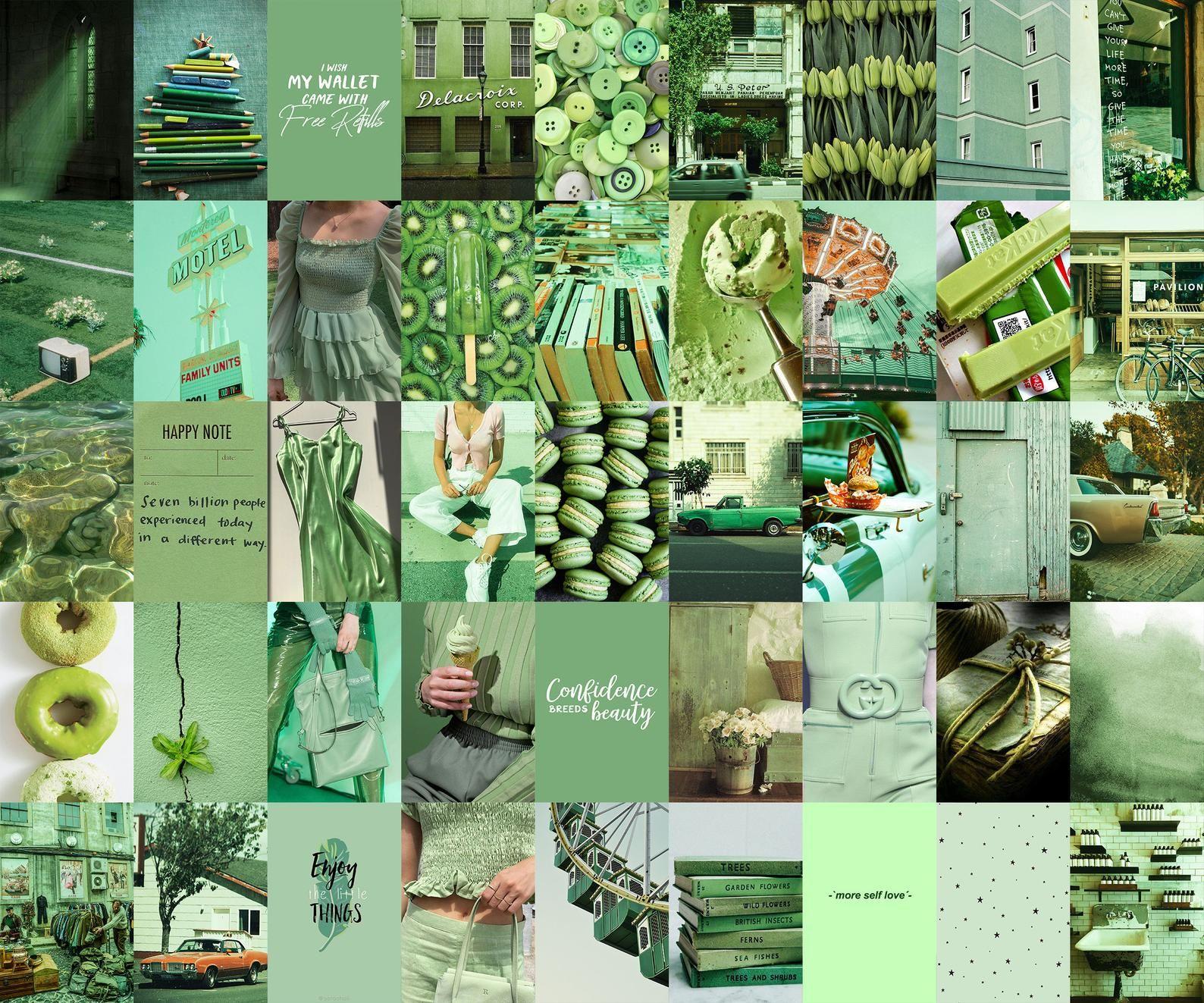 1588x1323 Sage Green Aesthetic Picture Laptop