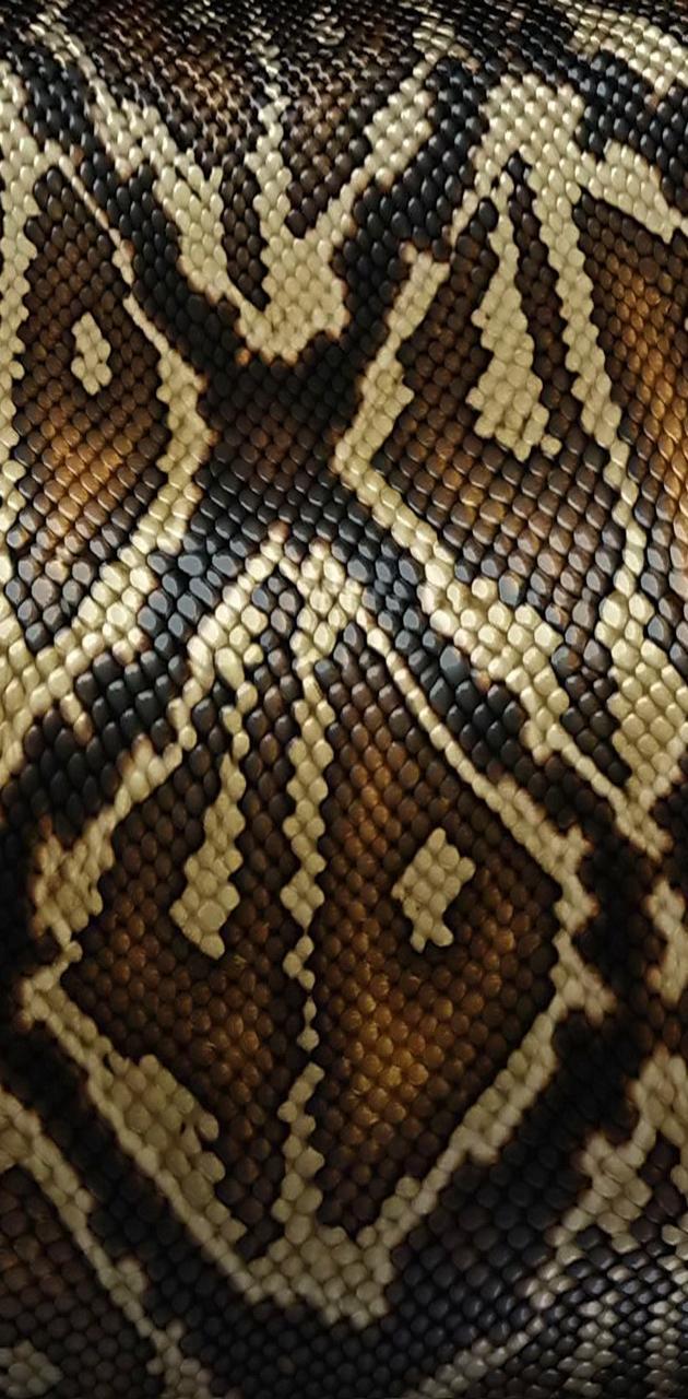 Snake Texture Wallpapers - Top Free Snake Texture Backgrounds ...