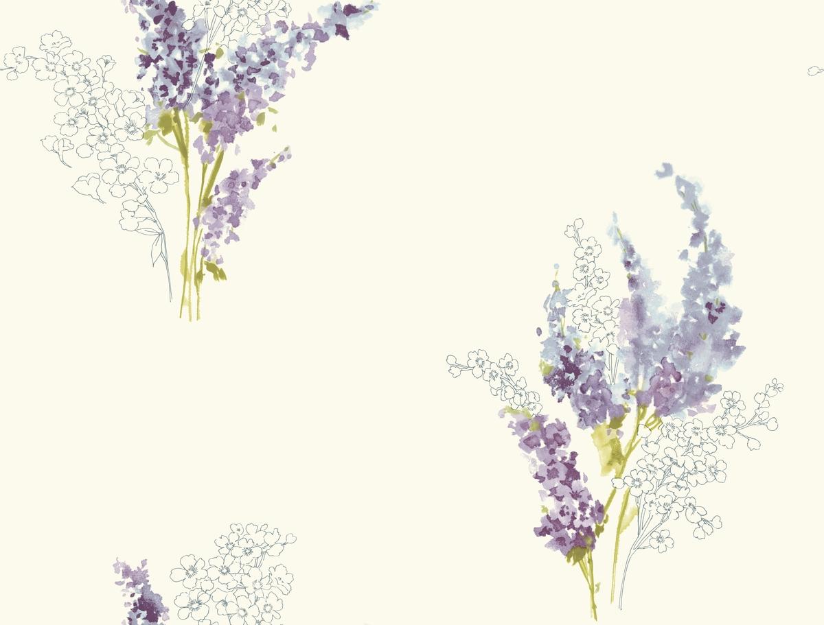 Delphinium Wallpapers - Top Free Delphinium Backgrounds - WallpaperAccess