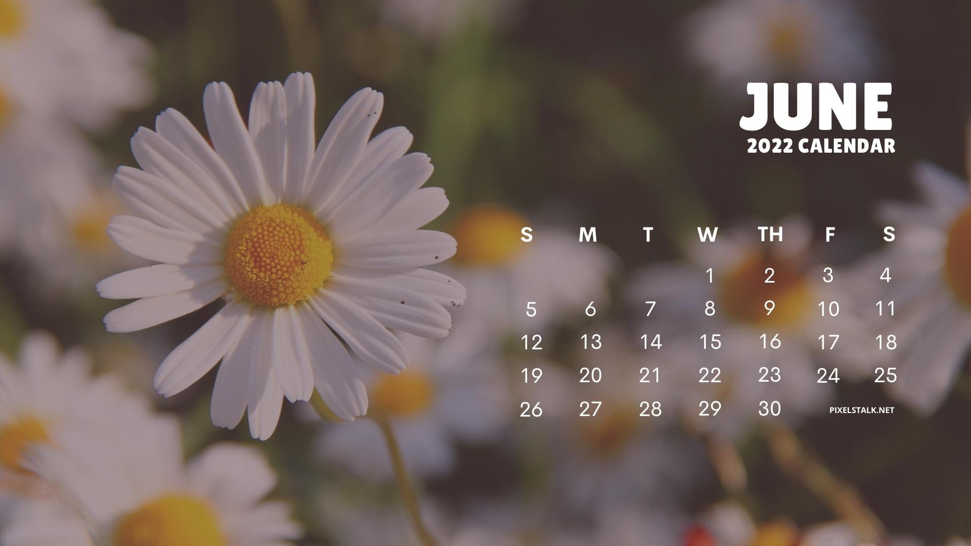 1920x1080 June 2022 Calendar Background HD Free download